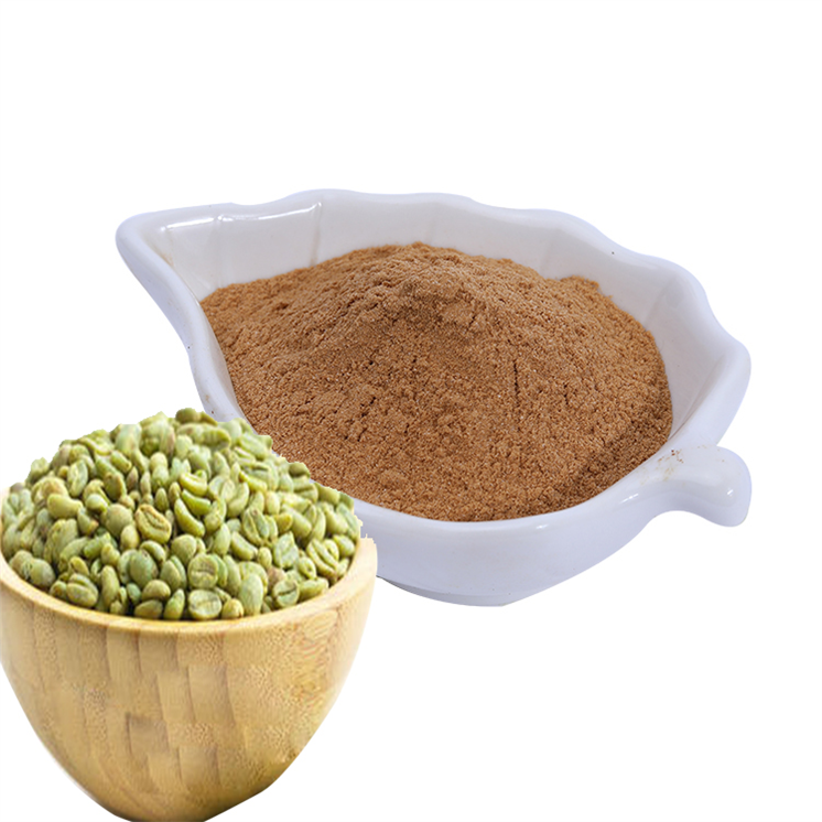 Wholesale Factory supply Green coffee bean extract powder Chlorogenic Acid