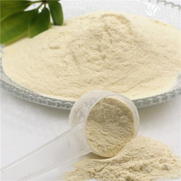 Factory Supply Wholesale Whey Protein Powder Whey protein isolate sports supplement