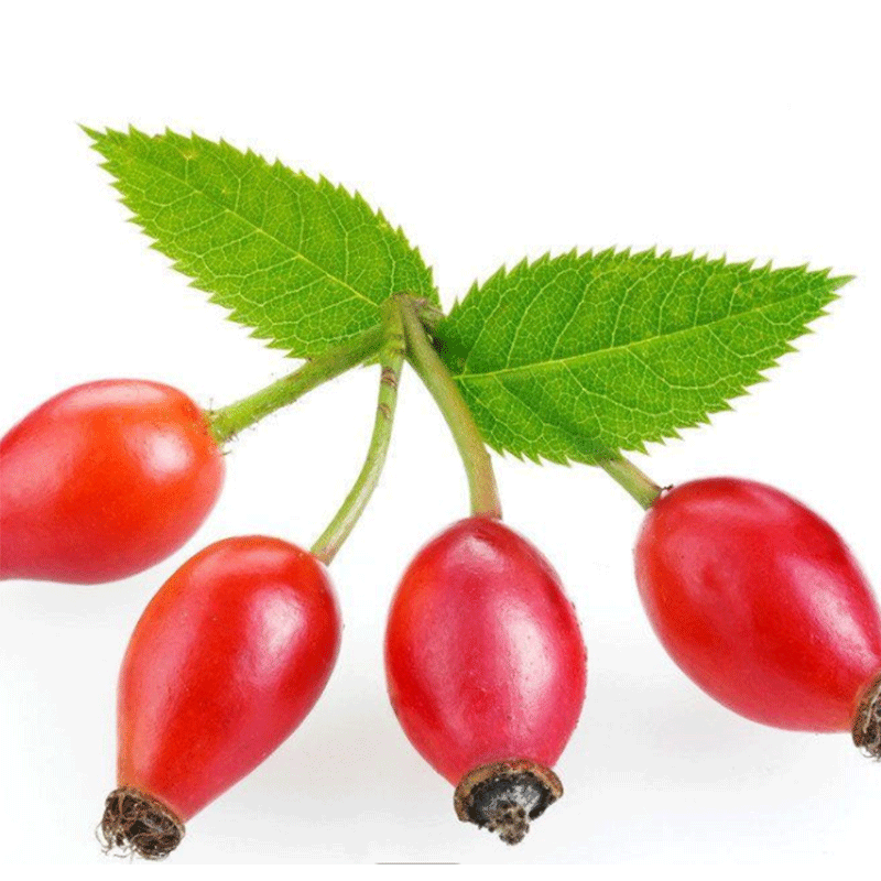 Rosehip Fruit Extract Rose Hip Extract Powder 5%polyphenol