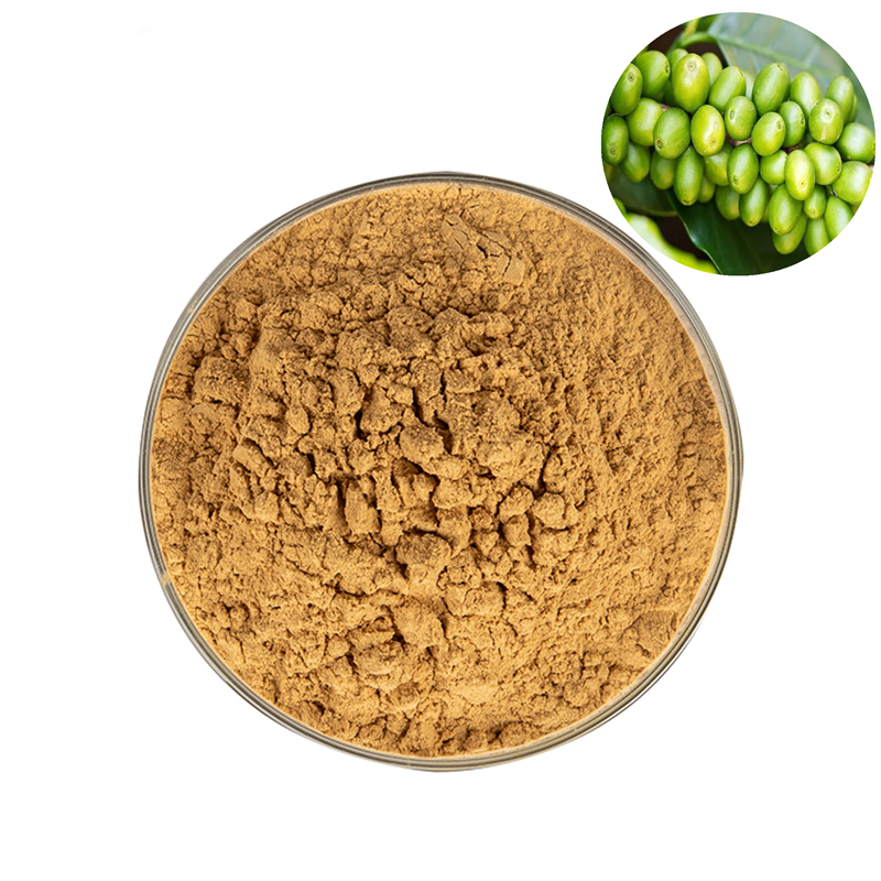 Green Coffee Bean Extract 50% Chlorogenic Acid