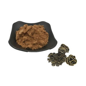 Organic Dried Turkey Tail Mushrooms Bulk Coriolus Versicolor Yunzhi Turkey Tail Powder