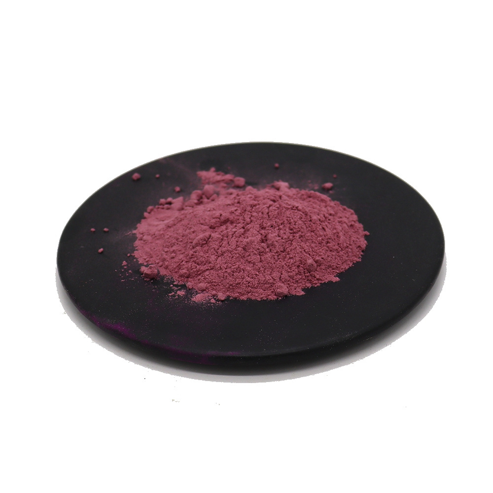 Blackcurrant Fruit Powder Black Currant Juice Powder For Sale