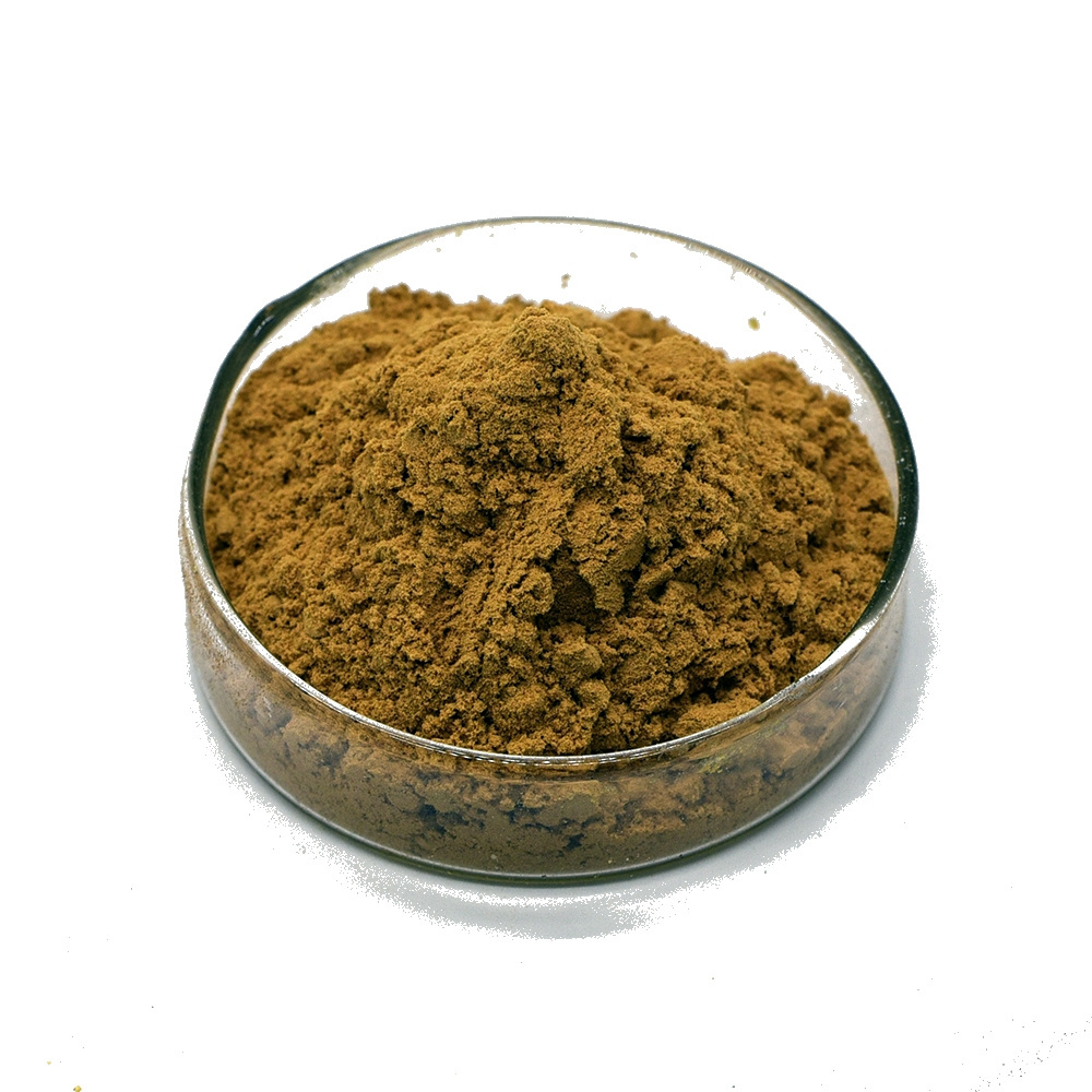 Wholesale Factory supply Green coffee bean extract powder Chlorogenic Acid