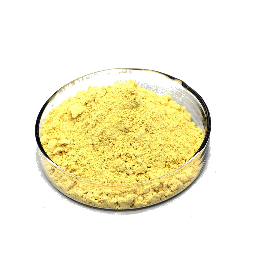 Quercetin Powder Rutin Powder Sophora Japonica Extract