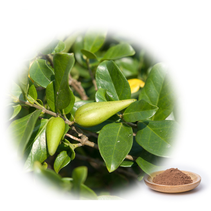 Natural Gymnema Leaf Extract 25% Gymnema Acid