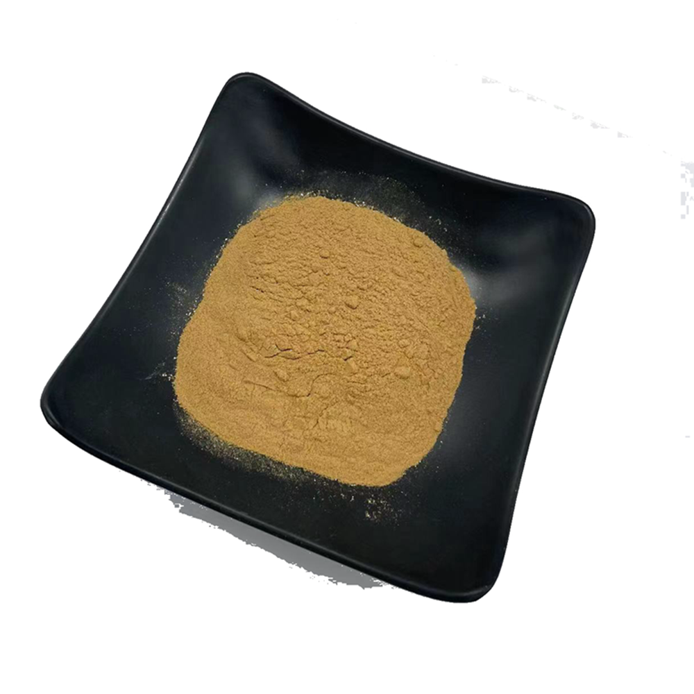 Green Coffee Bean Extract Powder 50% Chlorogenic Acid