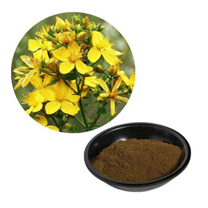 Hypericum Perforatum Extract/ st. John's Wort Extract  0.3% Hypericin