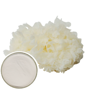 Manufacturer Supply Tremella Polysaccharides Powder Snow Fungus Tremella Fuciformis Extract Powder