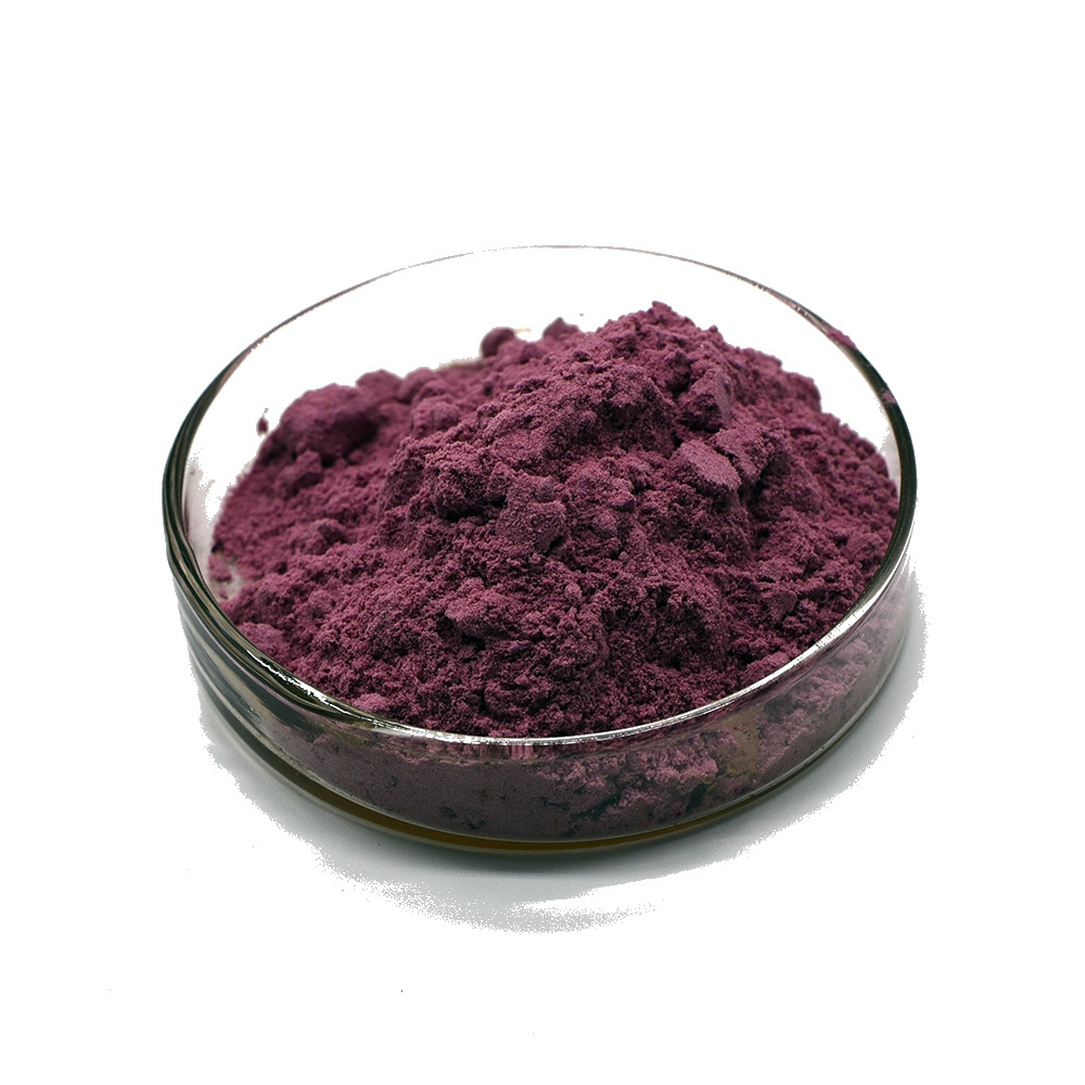 Blackcurrant Fruit Powder Black Currant Juice Powder For Sale