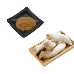 Factory Supply Wholesale Organic Pleurotus Eryngii powder King oyster extract Powder