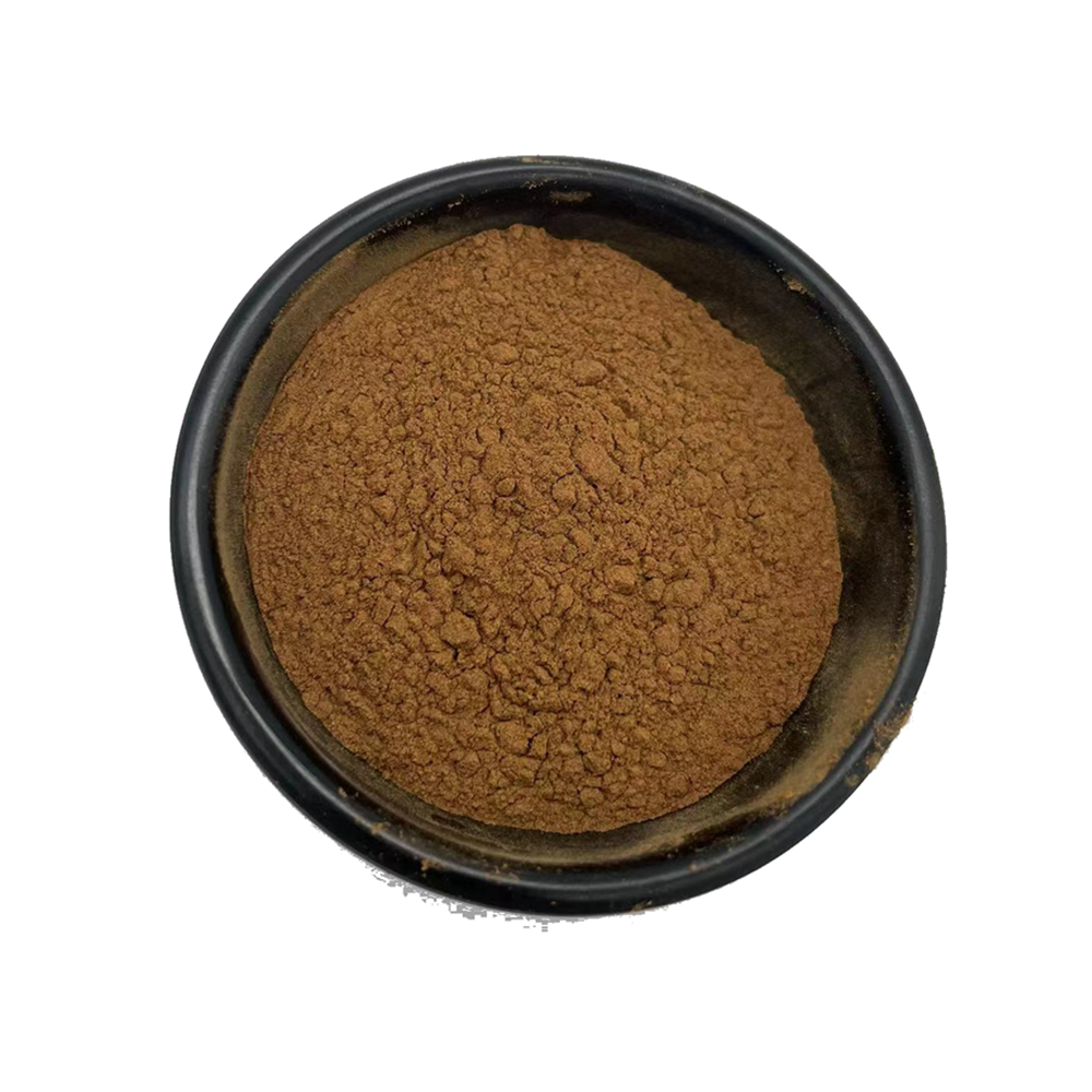 Wholesale Red Raspberry Leaf Extract Powder