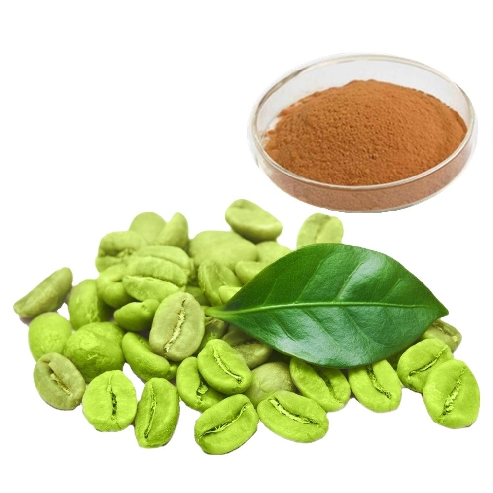 Wholesale Factory supply Green coffee bean extract powder Chlorogenic Acid