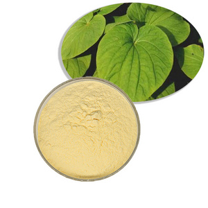 Bulk free sample kava extract powder  kava extract