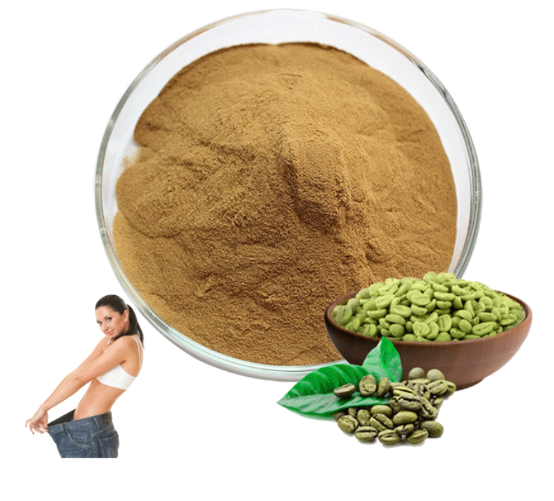 High Quality 50% chlorogenic acid green coffee bean extract powder