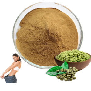 High Quality 50% chlorogenic acid green coffee bean extract powder