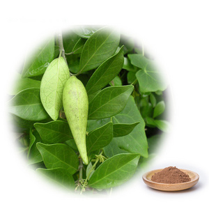 Natural Gymnema Leaf Extract 25% Gymnema Acid