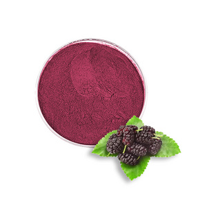 Bulk mulberry fruit and vegetable powder 100% Mulberry fruit powder