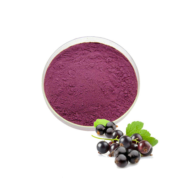 Blackcurrant Fruit Powder Black Currant Juice Powder For Sale