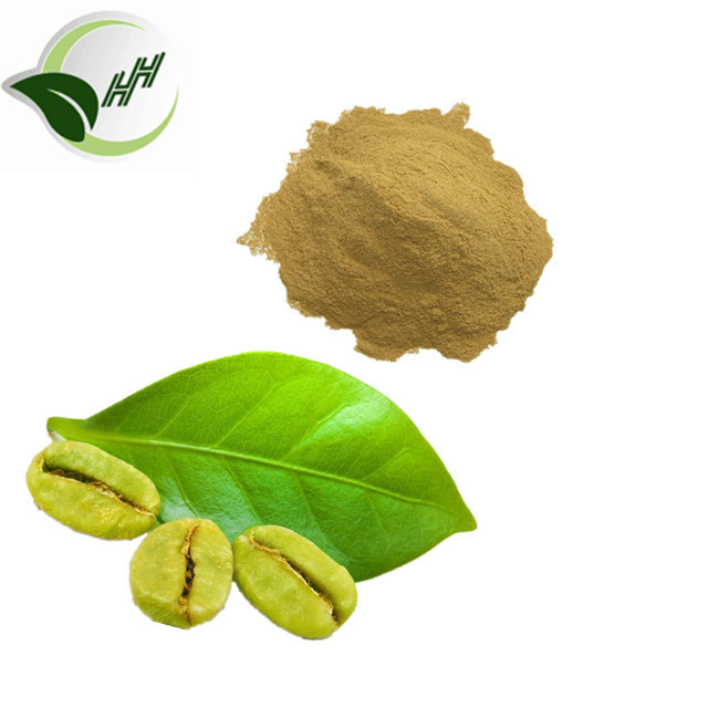 High Quality 50% chlorogenic acid green coffee bean extract powder