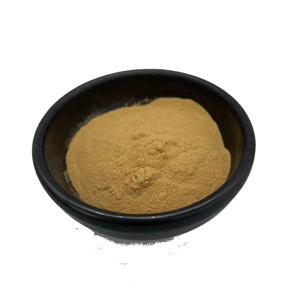 Good Price Green Coffee Bean Extract Powder 50% Chlorogenic Acid