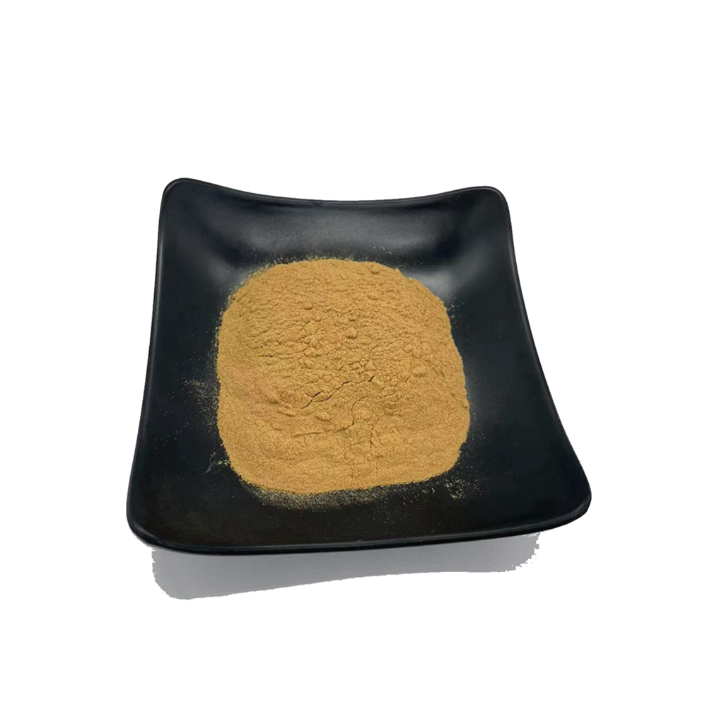 Green Coffee Bean Extract Powder 50% Chlorogenic Acid