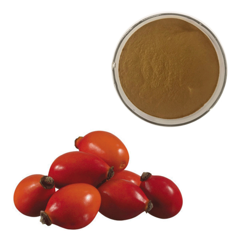 Rosehip Fruit Extract Rose Hip Extract Powder 5%polyphenol