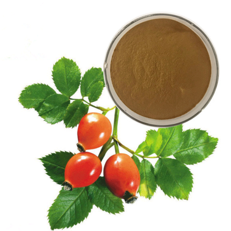 Rosehip Fruit Extract Rose Hip Extract Powder 5%polyphenol