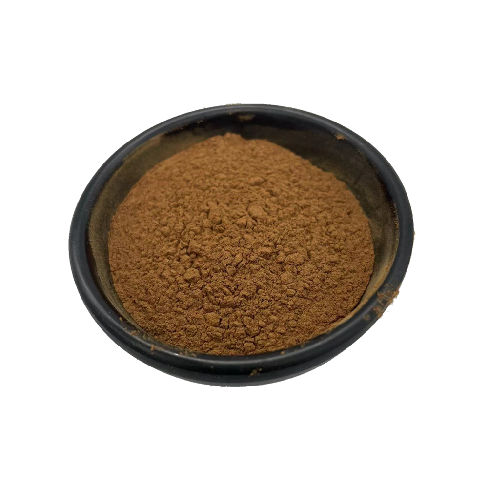 Wholesale Red Raspberry Leaf Extract Powder