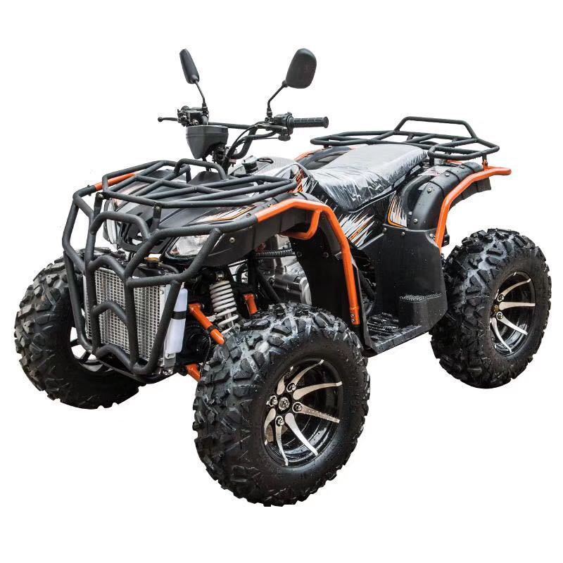 Brand new off-road motorcycle all-terrain ATV 250cc 4*2UTV adult racing kart