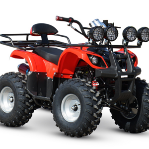 High quality atv 125cc four-wheel atv 250cc 4x4 / china import atv  cheap mini dune buggy / quad atv