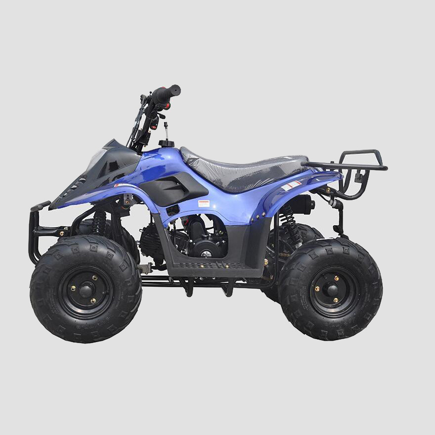 125cc ATV 125cc Automatic Quad Bike Gas Powered Quad Atv For Sale 500W 800W Electric ATV Children Motorcycle