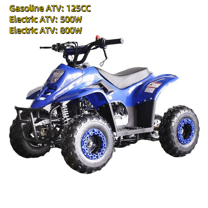 125cc ATV 125cc Automatic Quad Bike Gas Powered Quad Atv For Sale 500W 800W Electric ATV Children Motorcycle