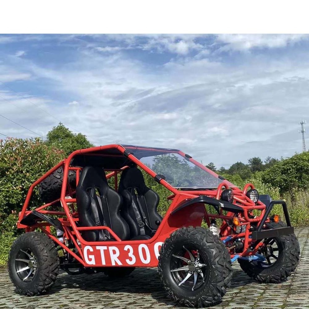 China 2023  350 CC2 seats 4 quad 4x4 beach buggy motorcycle   Mountain off-road vehicles Adult Racing Go Kart