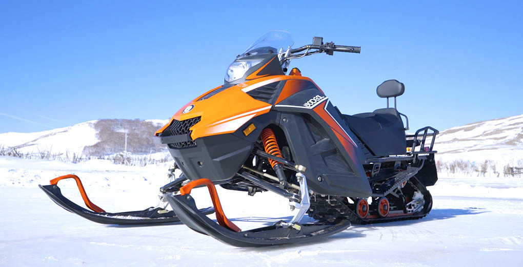 China snowmobile 150cc/200cc/300cc adult snowscooter snow vehicle all-terrain sled snowmobile track vehicles