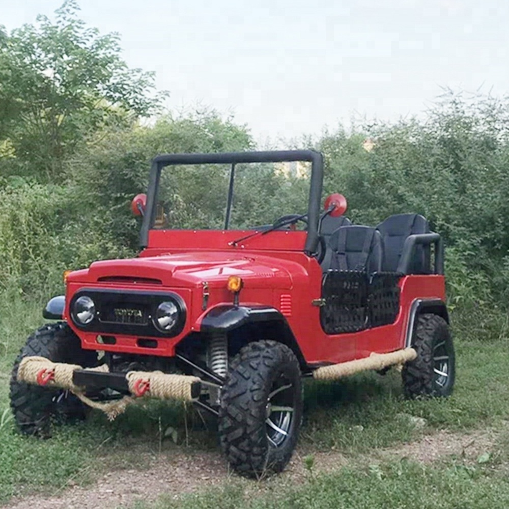 320CC New arrive gas 2 seats adult off road go kart buggy