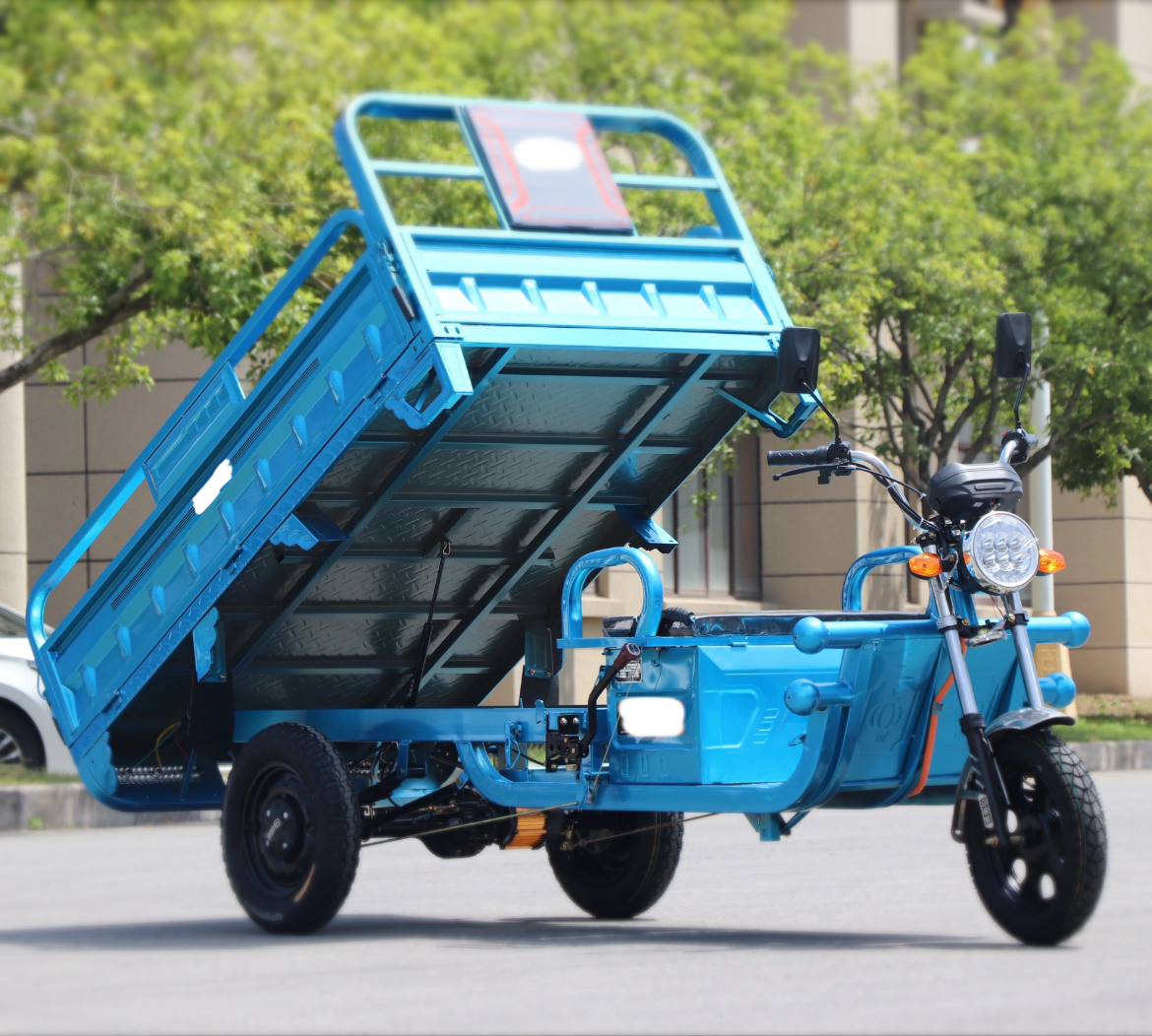 Electric Tricycle New Design Cargo 3 Wheeled Motorized E Rickshaw Tuk Tuk for adults