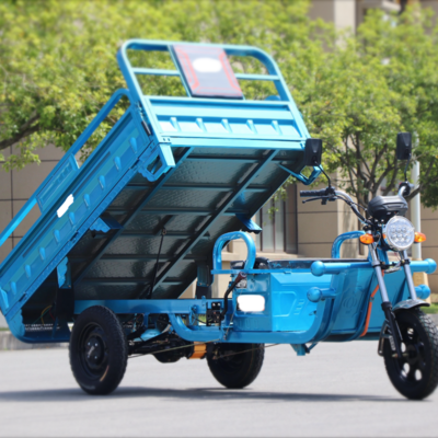 Electric Tricycle New Design Cargo 3 Wheeled Motorized E Rickshaw Tuk Tuk for adults