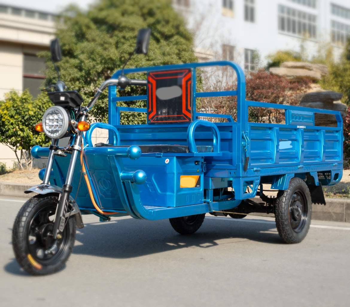 Electric Tricycle New Design Cargo 3 Wheeled Motorized E Rickshaw Tuk Tuk for adults