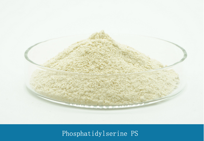 Sunflower Phosphatidylserine Phosphatidyl Serine Powder 50%