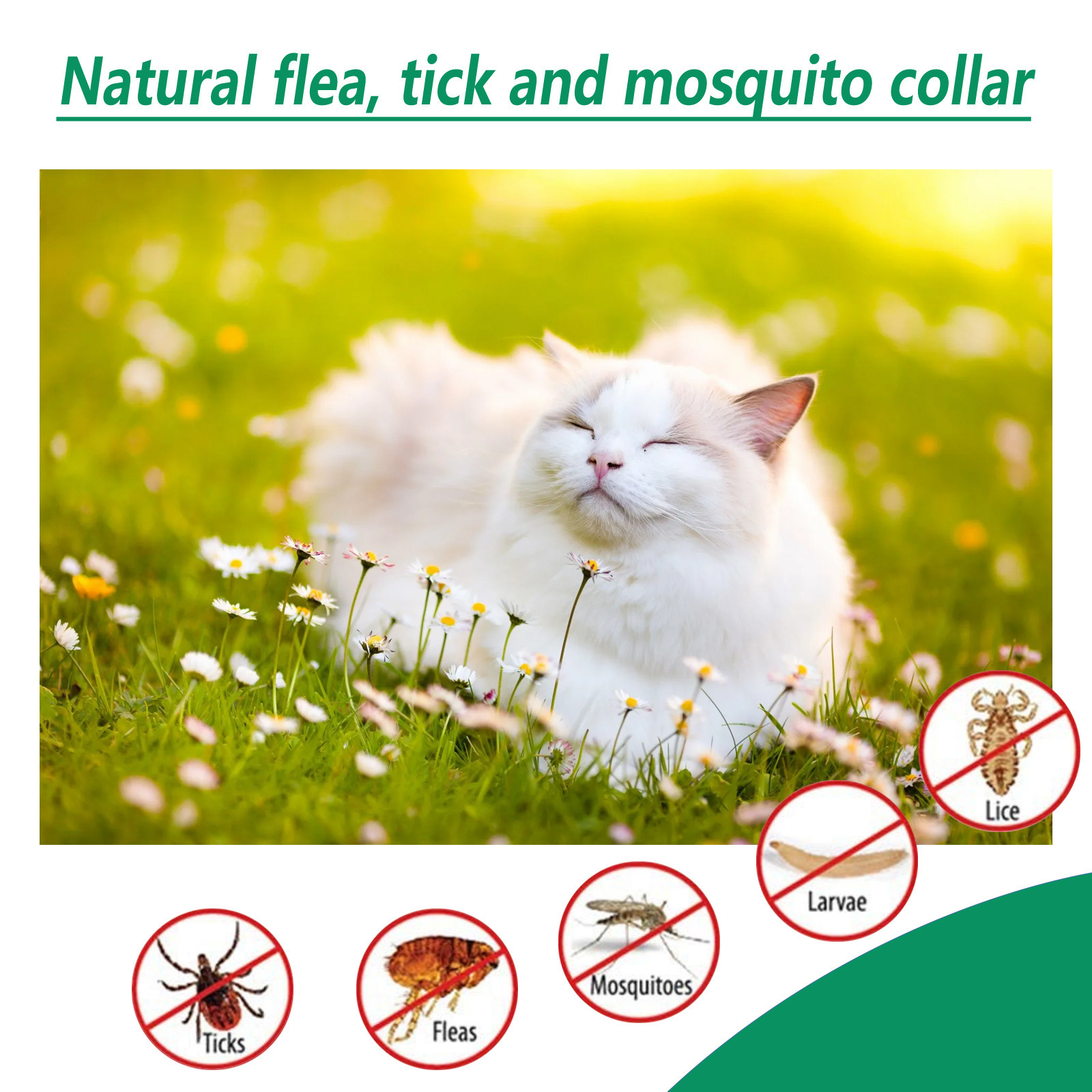 Popular YEGBONG 100% Natural Essential Oil Pet Anti-Flea Collar Tick Mosquito Repellent Lasting Cats Dogs Adjustable Collar