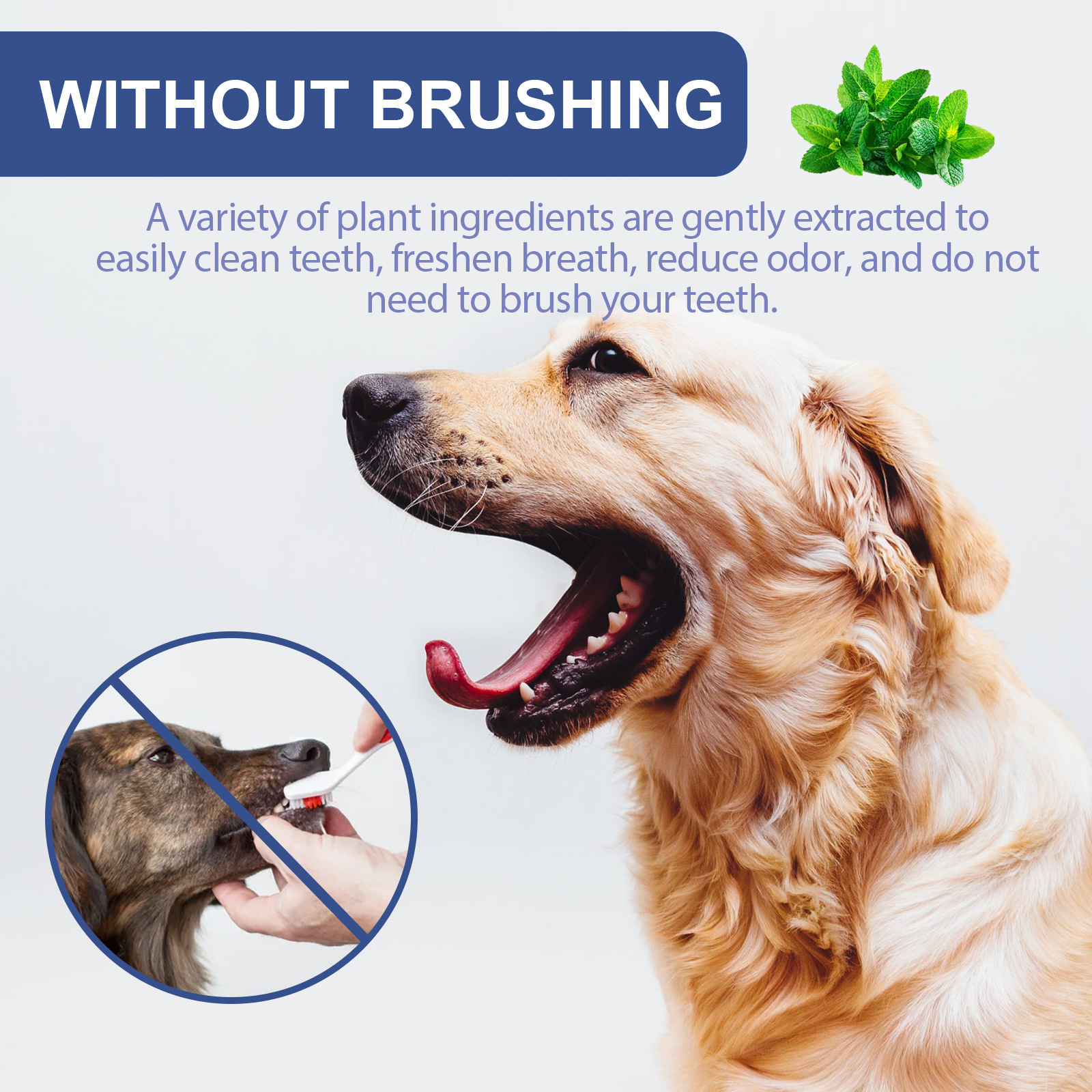 Hot Sale Yegbong Safe Ingredients Pet Teeth Cleaning Deodorization Cats Dogs Oral Spray Breath Freshener