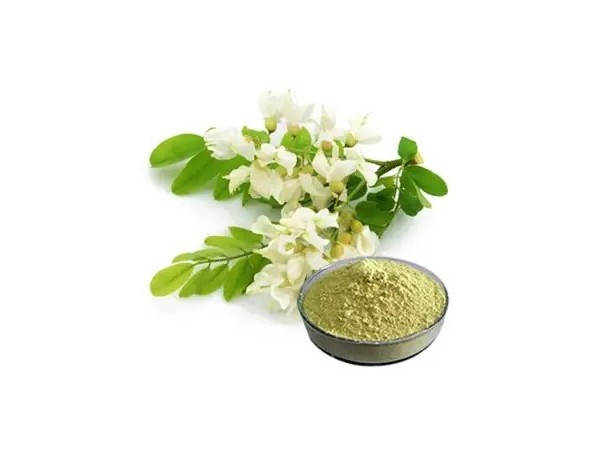 Wholesale Bulk Rutin Quercetin Troxerutin Active Ingredients Sophora Japonica Extract