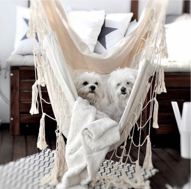 Hanging Chair Swing Hammock With Two Pillows