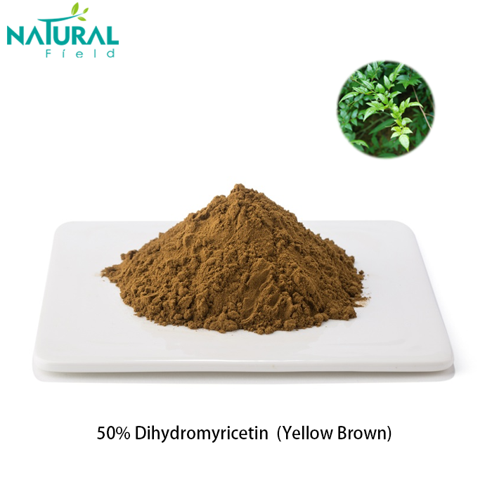 Dihydromyricetin Powder 50% 98% DHM Powder Vine tea extract Dihydromyricetin powder Dihydromyricetin extract