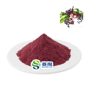 Wholesale Fruit Maquiberry Powder Maqui Berry Powder