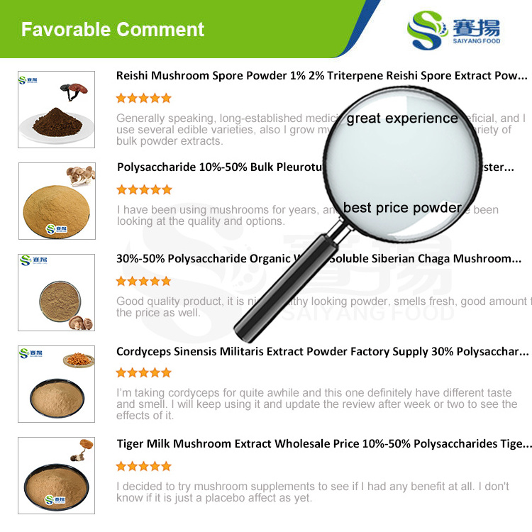 Agrocybe Cylindracea Extract Factory Price 30% Polysaccharides Tea Tree Mushroom Extract Powder