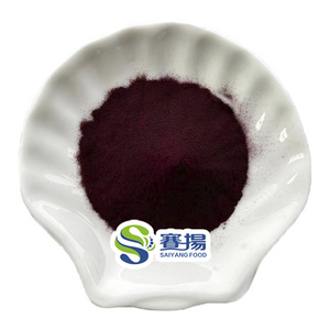 Natural Pigment Water Soluble Black Carrot Powder Purple Carrot Extract Pigment Powder E50