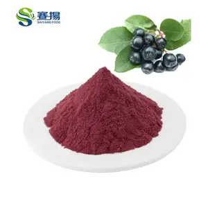 Food Grade Chinese High Quality Hot Sale Fresh Aronia Berry Fruit Juice Powder Aronia Berry Powder