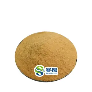 Agrocybe Cylindracea Extract Factory Price 30% Polysaccharides Tea Tree Mushroom Extract Powder