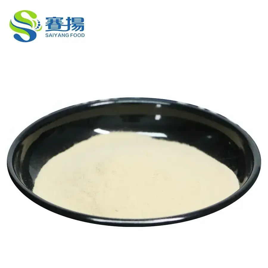 Docosahexaenoic Acid DHA Algal Oil Powder Pure DHA Powder 10% Docosahexaenoic Acid